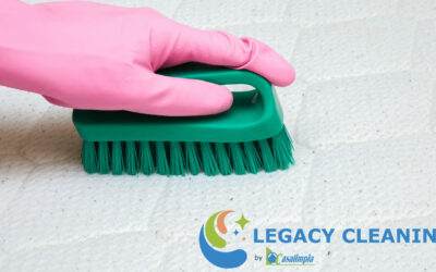 Clean your mattress like a Legacy Cleaning Pro